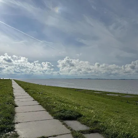 Doppelhaushaelfte In Daire